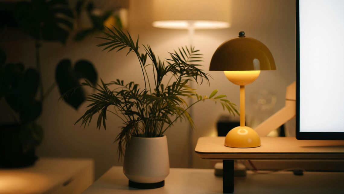 A cozy bedroom with fresh plant and good smell house.