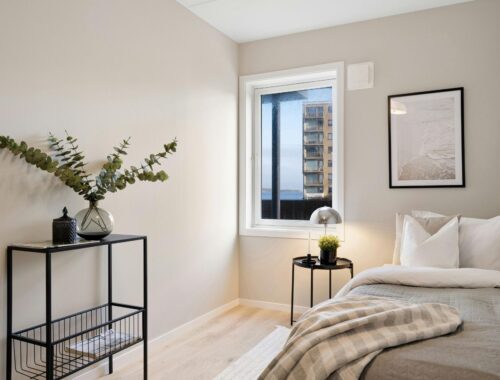 Cozy Small Bedroom natural light decor idea